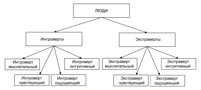 Четыре типа интровертов и экстравертов