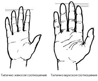 Сексуальность по ладони